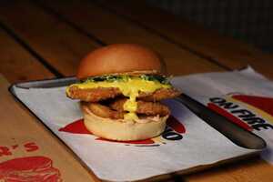 فرايد تشكن هاني ماسترد