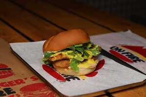 غريلد تشكن هاني ماسترد